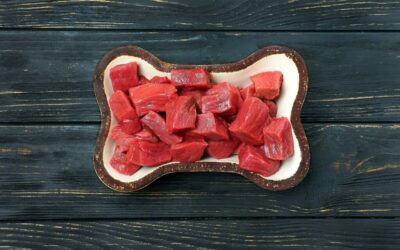 Why raw dog food is the best kind of wet food | Pawfectly Raw