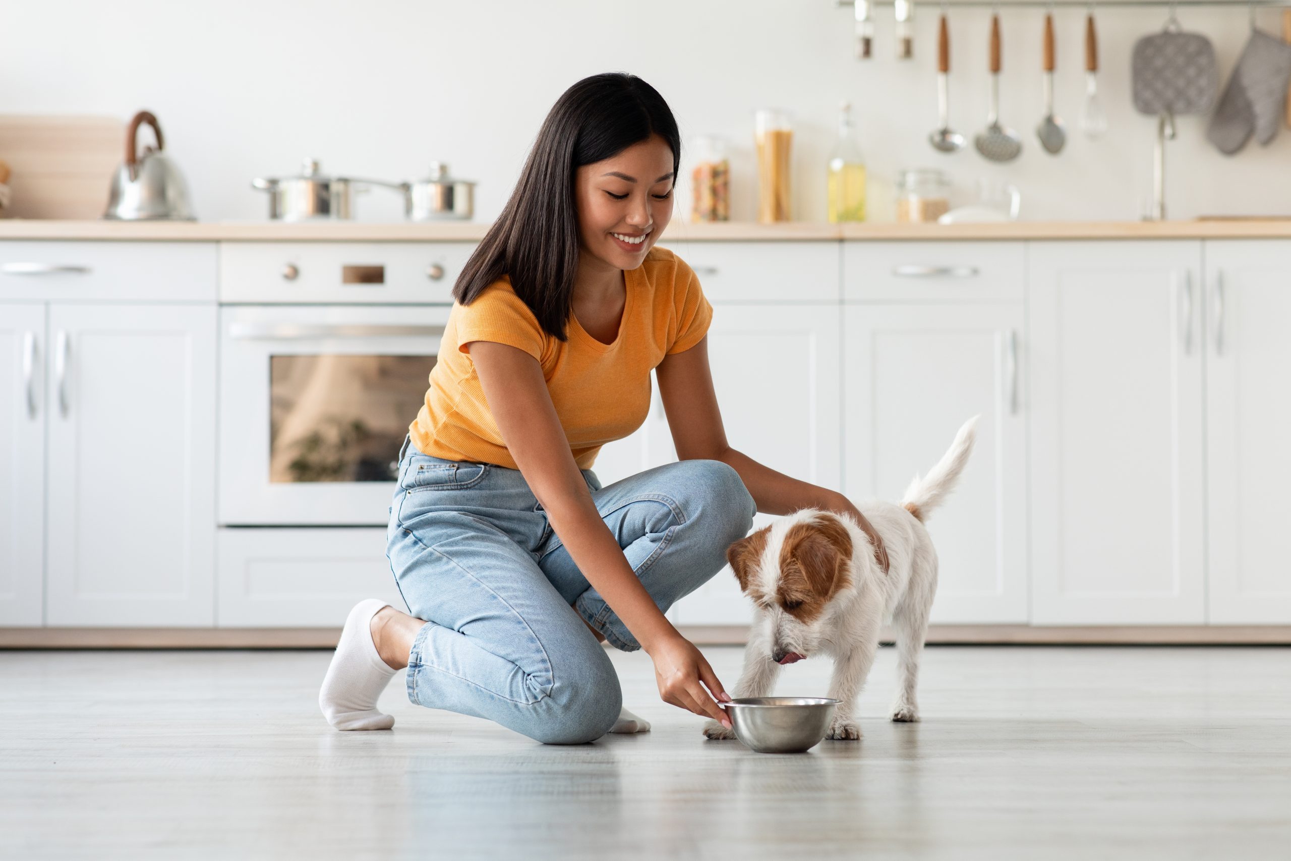 Loving,Young,Asian,Woman,Petting,And,Feeding,Her,Cute,Long-coat